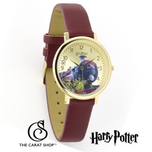 TP0027 Harry Potter Watch - Hogwarts Express